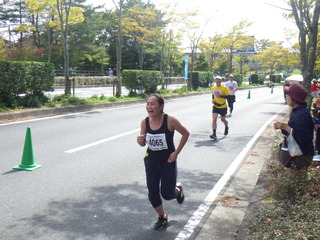 IMGP7652.JPG